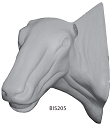 BIS205